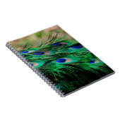羽孔雀の羽 ノートブック (右側)