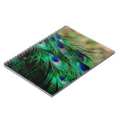 羽孔雀の羽 ノートブック (左側)