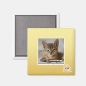 羽根が抜けた。 マグネット (正面/裏面)