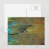 羽根面 ポストカード (正面/裏面)