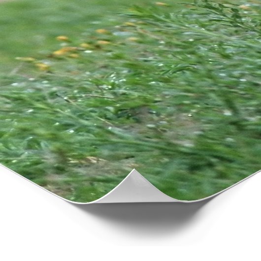 「羽根」 ポスター (角)