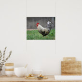 「羽根」 ポスター (キッチン)