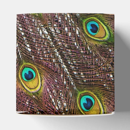 羽毛が表示されたリーガルピーコックバード フェイバーボックス (上部)