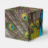 羽毛が表示されたリーガルピーコックバード フェイバーボックス (裏面サイド)