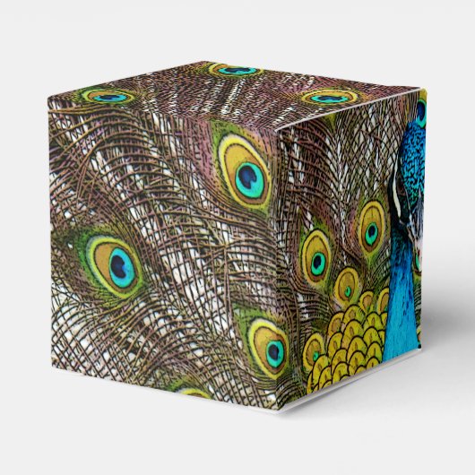 羽毛が表示されたリーガルピーコックバード フェイバーボックス (裏面サイド)