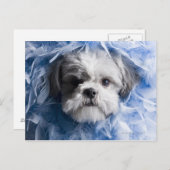 羽毛で覆われた子犬のクローズアップ ポストカード (正面/裏面)