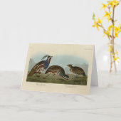 羽毛と太い脚のパトリッジ – オードボンズ・バード カード (黄色い花)