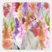 羽毛と開花:オンドリの中のオンドリ スクエアシール (正面)