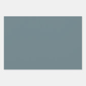 羽毛のある花 ラッピングペーパーシート (正面2)