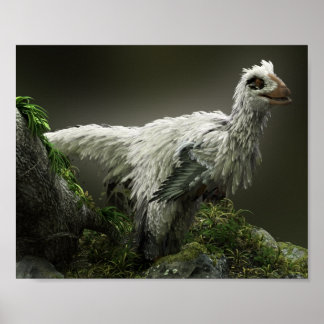 羽毛の付いたラプター ポスター