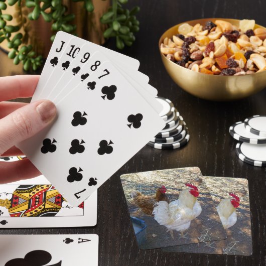 羽毛の仲間：白い鶏と彼の鶏 トランプ (インサイチュ)