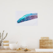 羽毛の水滴 ポスター (キッチン)