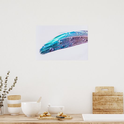 羽毛の水滴 ポスター (キッチン)