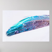 羽毛の水滴 ポスター (正面)