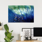 羽毛の水滴 ポスター (ホームオフィス)