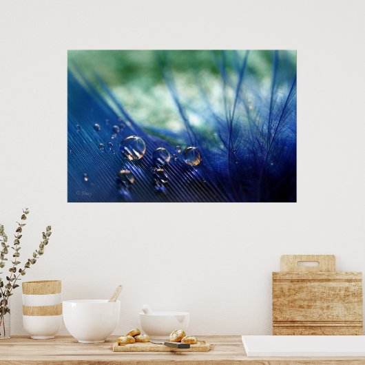 羽毛の水滴 ポスター (キッチン)