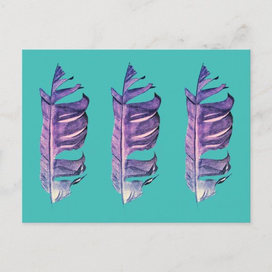 羽毛の繊細な美術原画イラスト ポストカード (正面)