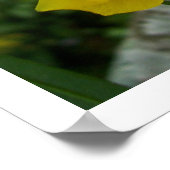 羽毛の蝶 ポスター (角)