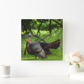 羽毛を表示する成熟した雄の野生のトルコ スクエア壁時計 (ホーム)