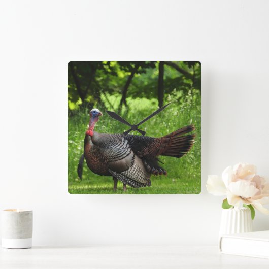 羽毛を表示する成熟した雄の野生のトルコ スクエア壁時計 (ホーム)