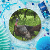 羽毛を表示する成熟した雄の野生のトルコ ペーパープレート (パーティー)