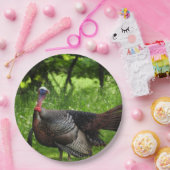 羽毛を表示する成熟した雄の野生のトルコ ペーパープレート (パーティー)