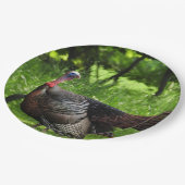 羽毛を表示する成熟した雄の野生のトルコ ペーパープレート (アングル)