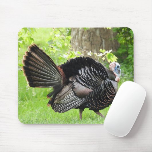羽毛を表示する成熟した雄の野生のトルコ マウスパッド (マウス)