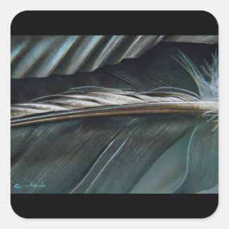 羽毛シール スクエアシール