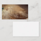 羽毛ヒーラーシャーマニック部族の名刺 名刺 (正面/裏面)