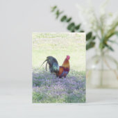 羽毛プライド葉書 ポストカード (スタンド正面)