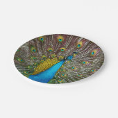 羽毛威厳のある付き孔雀王室の鳥 ペーパープレート (アングル)