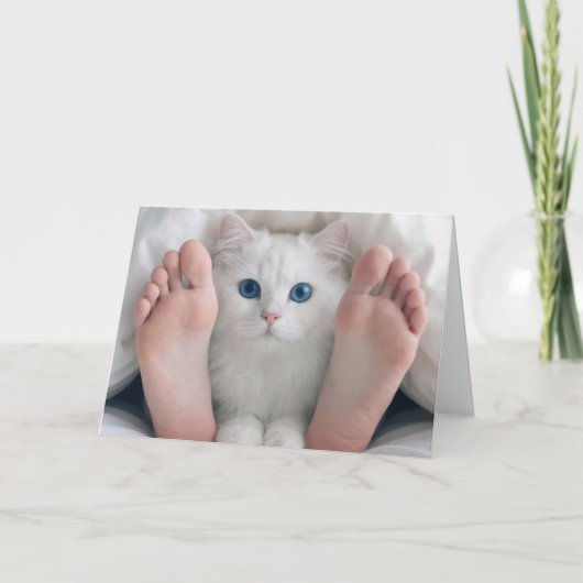 羽毛布団に潜る猫と人間の足 カード (正面)