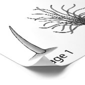 羽毛進化プリント ポスター (角)