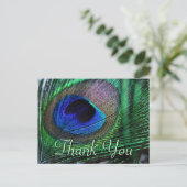 羽毛鮮やかはがき ポストカード (スタンド正面)