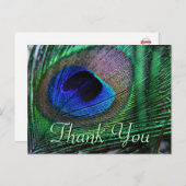 羽毛鮮やかはがき ポストカード (正面/裏面)