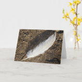 羽毛 カード (黄色い花)