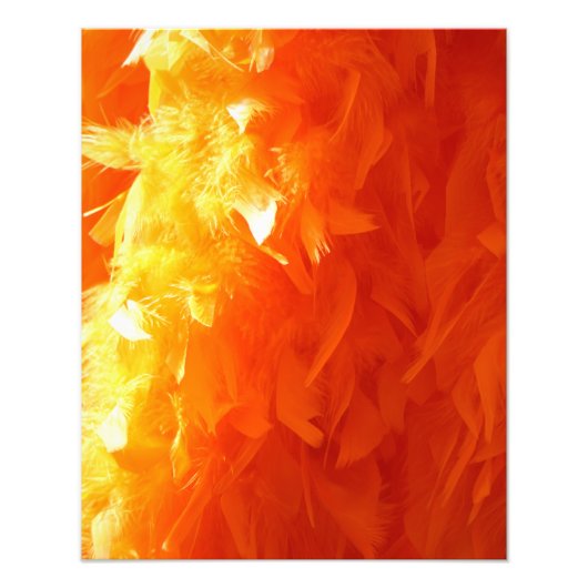 羽毛 フォトプリント            (正面)