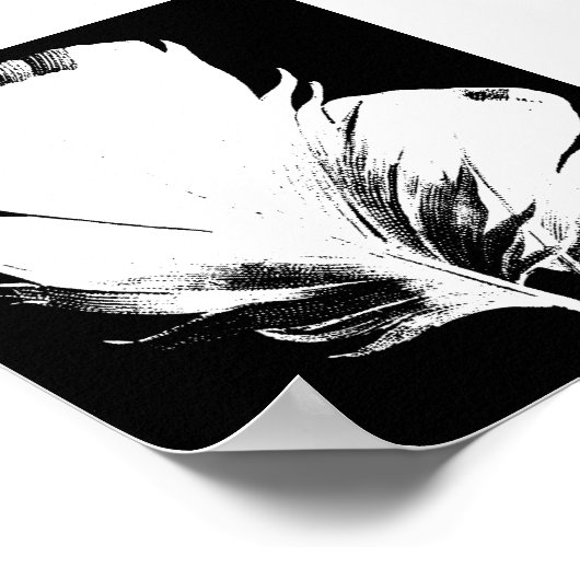 羽毛 ポスター (角)