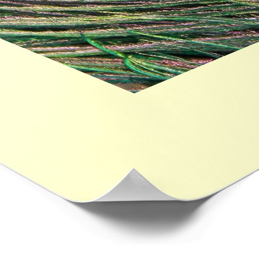 羽毛 ポスター (角)