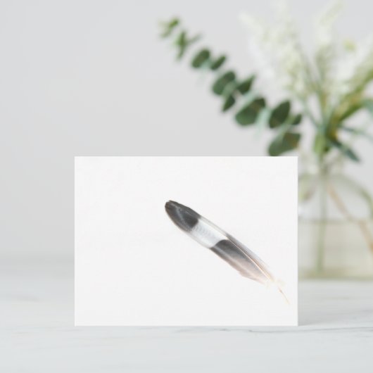 羽毛 ポストカード (スタンド正面)