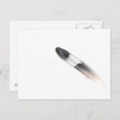 羽毛 ポストカード (正面/裏面)