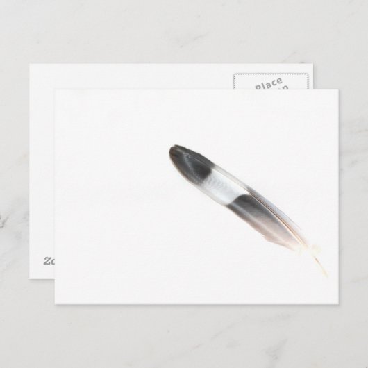 羽毛 ポストカード (正面/裏面)