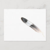 羽毛 ポストカード (正面)