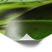 羽澄ん蝶プリント フォトプリント            (角)