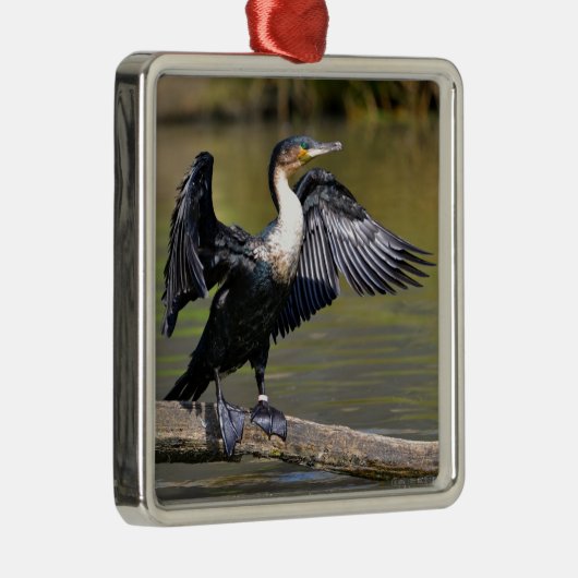 羽素晴らしを開けた鵜 メタルオーナメント (右)