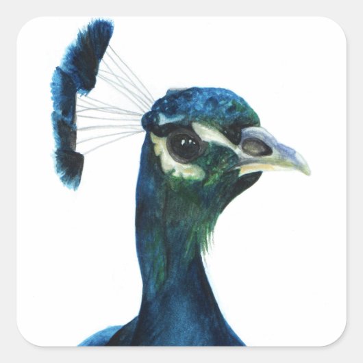 羽素晴らし根 スクエアシール (正面)