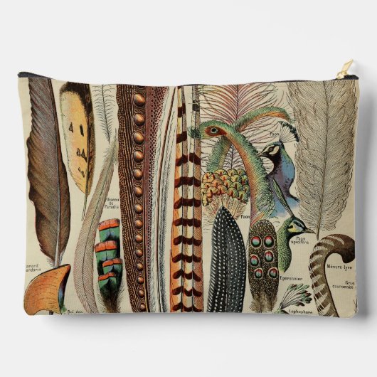 羽鳥の野生生物アンティーク羽 アクセサリーポーチ (裏面)