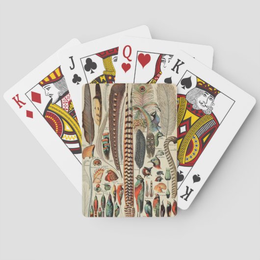 羽鳥の野生生物アンティーク羽 トランプ (裏面)