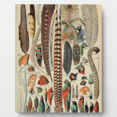 羽鳥の野生生物アンティーク羽 フォトプラーク (正面)